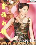 貴族白領 貴族白領