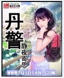 丹警 丹警