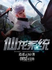 仙龙系统 仙龙系统