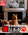 猫行天下 猫行天下