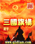三国旗杨封面