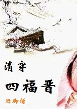 清穿四福晋封面