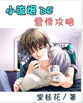小流氓的爱情攻略封面