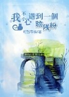�Ҳ�С������һ���Բз۷���