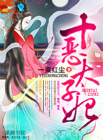 十恶太子妃封面