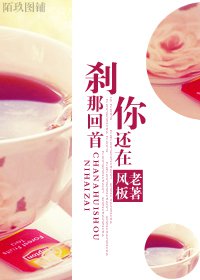 刹那回首你还在 刹那回首你还在