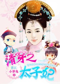 清穿之太子妃封面