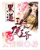 黑道王妃傻王爷封面