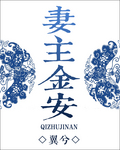 妻主金安封面