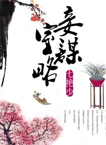 妾室谋略封面