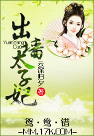 鸳鸯错:出墙太子妃封面