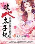 攻心太子妃封面