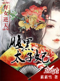 弃女逆天:腹黑太子妃封面