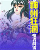 神洲狂澜封面