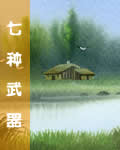 七种武器 七种武器