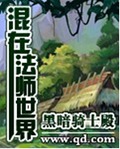 混在法师世界 混在法师世界