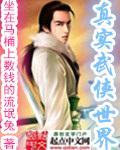 真实武侠世界封面