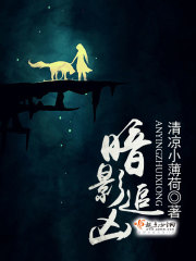 暗影追凶封面