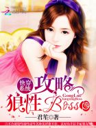 촩ϵͳ:boss