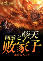 网游之孽天败家子 网游之孽天败家子