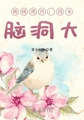 锦绣清宫:四爷,脑洞大封面