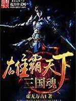 雄霸天下三国魂封面
