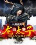 山寨龙太子封面
