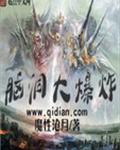 脑洞大爆炸封面