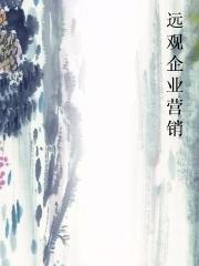 远观企业营销 远观企业营销