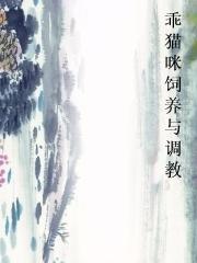 乖猫咪饲养与调教 乖猫咪饲养与调教