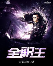 全职王 全职王