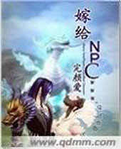 嫁给NPC 嫁给NPC