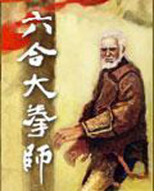 六合大拳师 六合大拳师