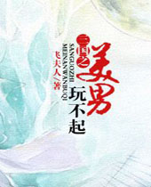 三国之美男玩不起封面
