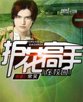 护花高手在校园封面