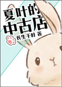 夏叶的中古店 夏叶的中古店
