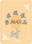 (ϵͳ)������ֵΪmaxʱ����