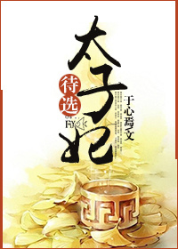 待选太子妃封面