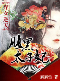 弃女逆天:腹黑太子妃封面
