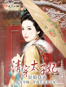清穿太子妃封面