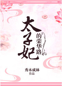 太子妃的荣华路封面
