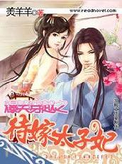 爆笑穿越之待嫁太子妃封面