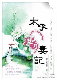 太子擒妻记封面