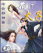 花门太子封面