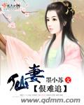 仙妻佷难追 仙妻佷难追